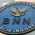 bnn